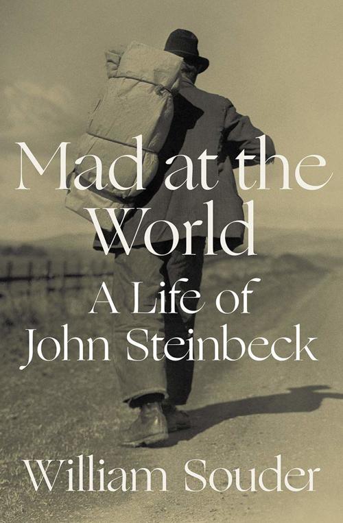 steinbook
