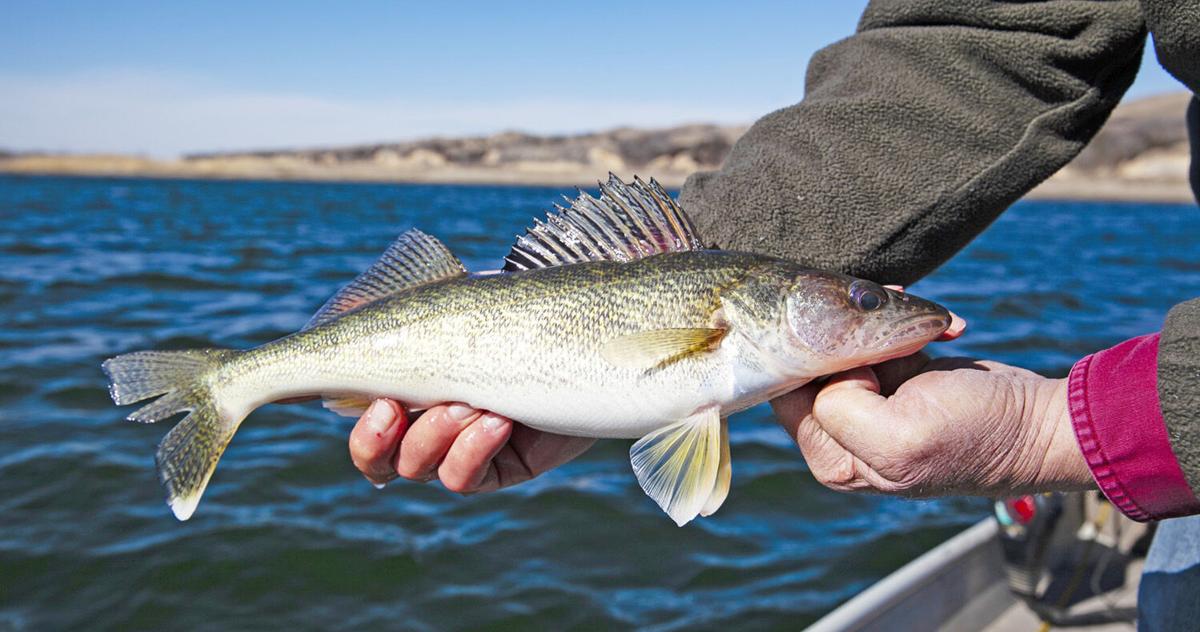 Advice for fishing in early spring