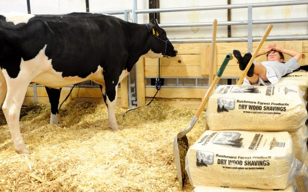 Nebraska State Fair, Day 2