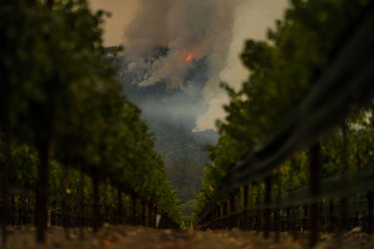 US-NEWS-CALIF-WILDFIRES-WINERIES-2-LA
