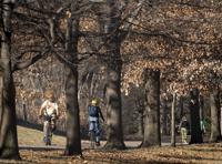 Top Journal Star photos for December