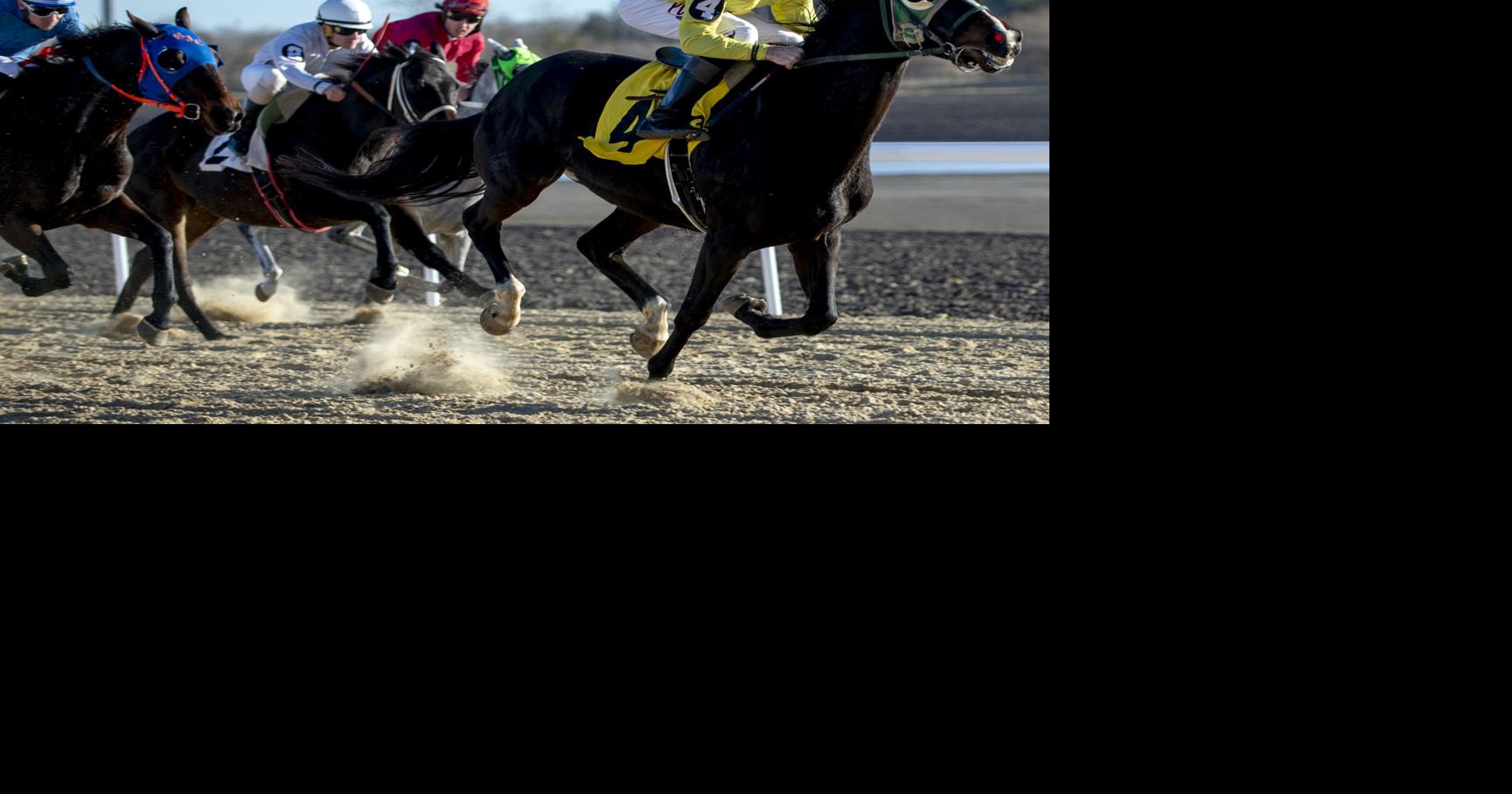 With new track, Lincoln Race Course hopes to revive horse racing in ...