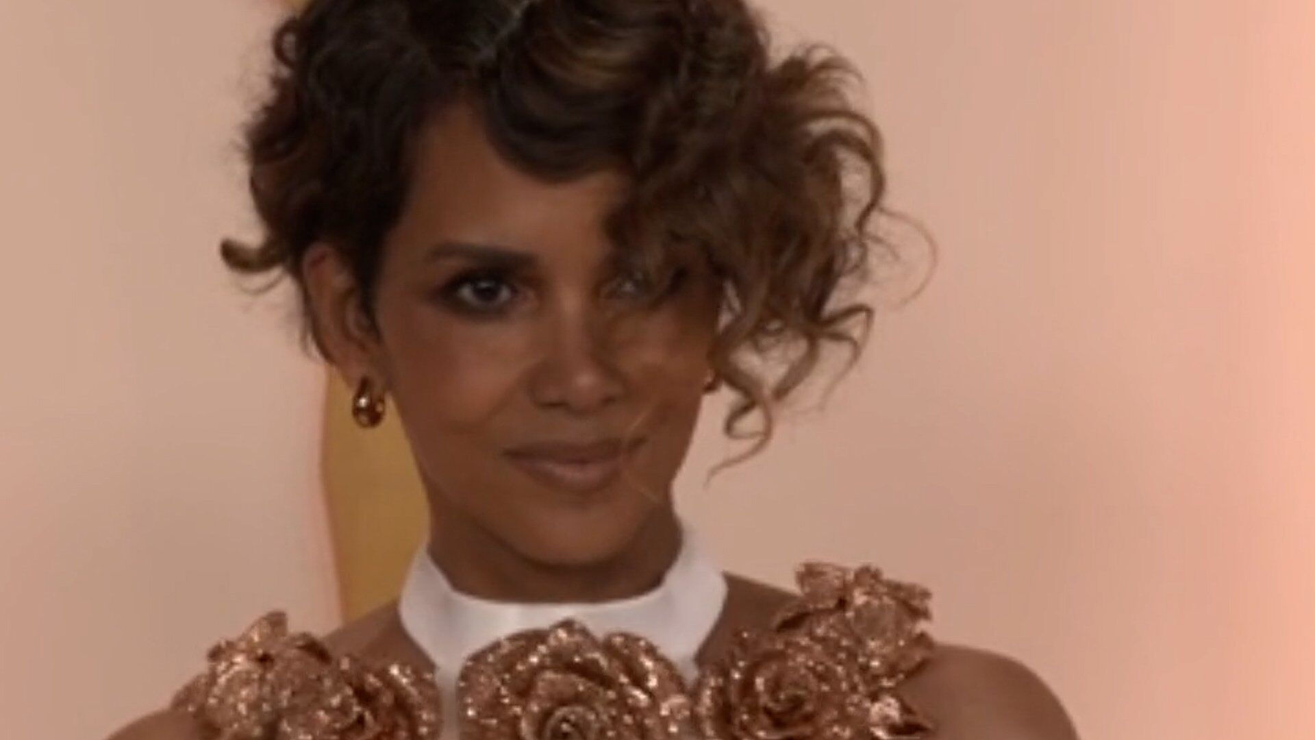 Halle Berry responds to troll who criticised her nude photo