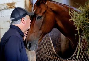 'He outlasted all of them': How 13-year-old gelding succeeds as one of oldest racehorses