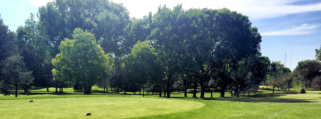 Knolls before trees came down