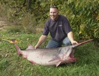 Paddlefish
