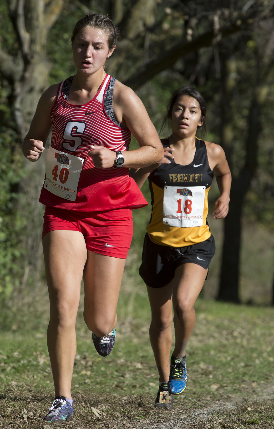 District A-3 Cross Country