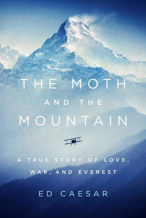 mothcover
