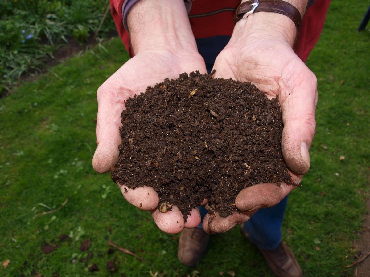 freshcompost