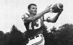 Don Maynard