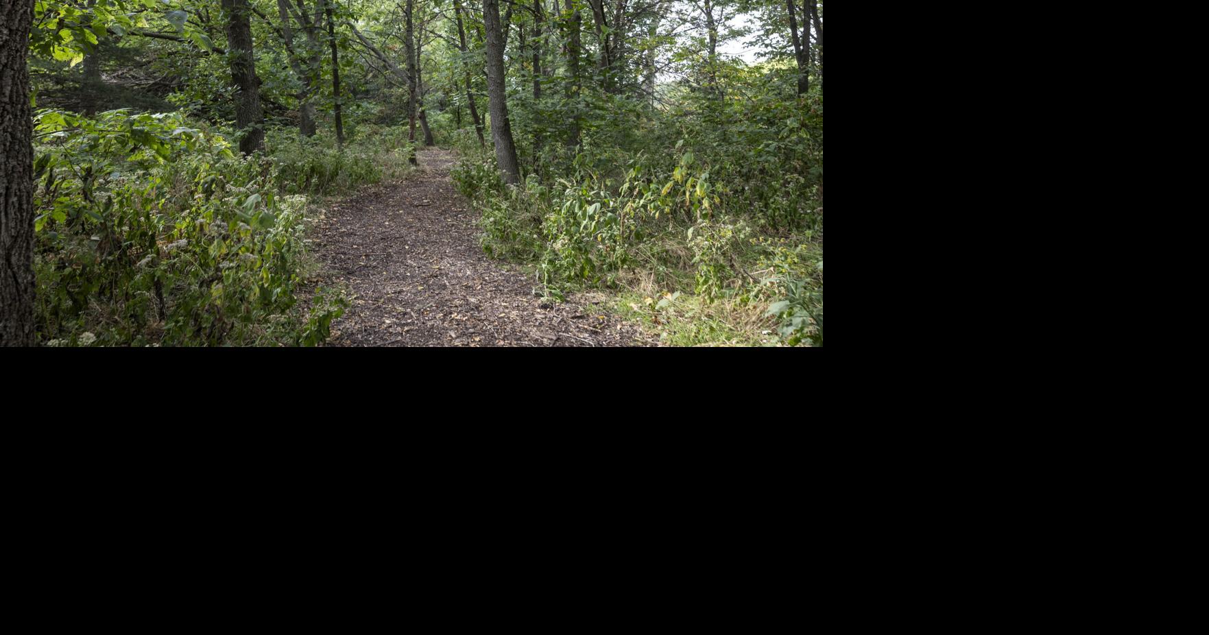 FirstPlymouth offers forestbathing experience on Sunday