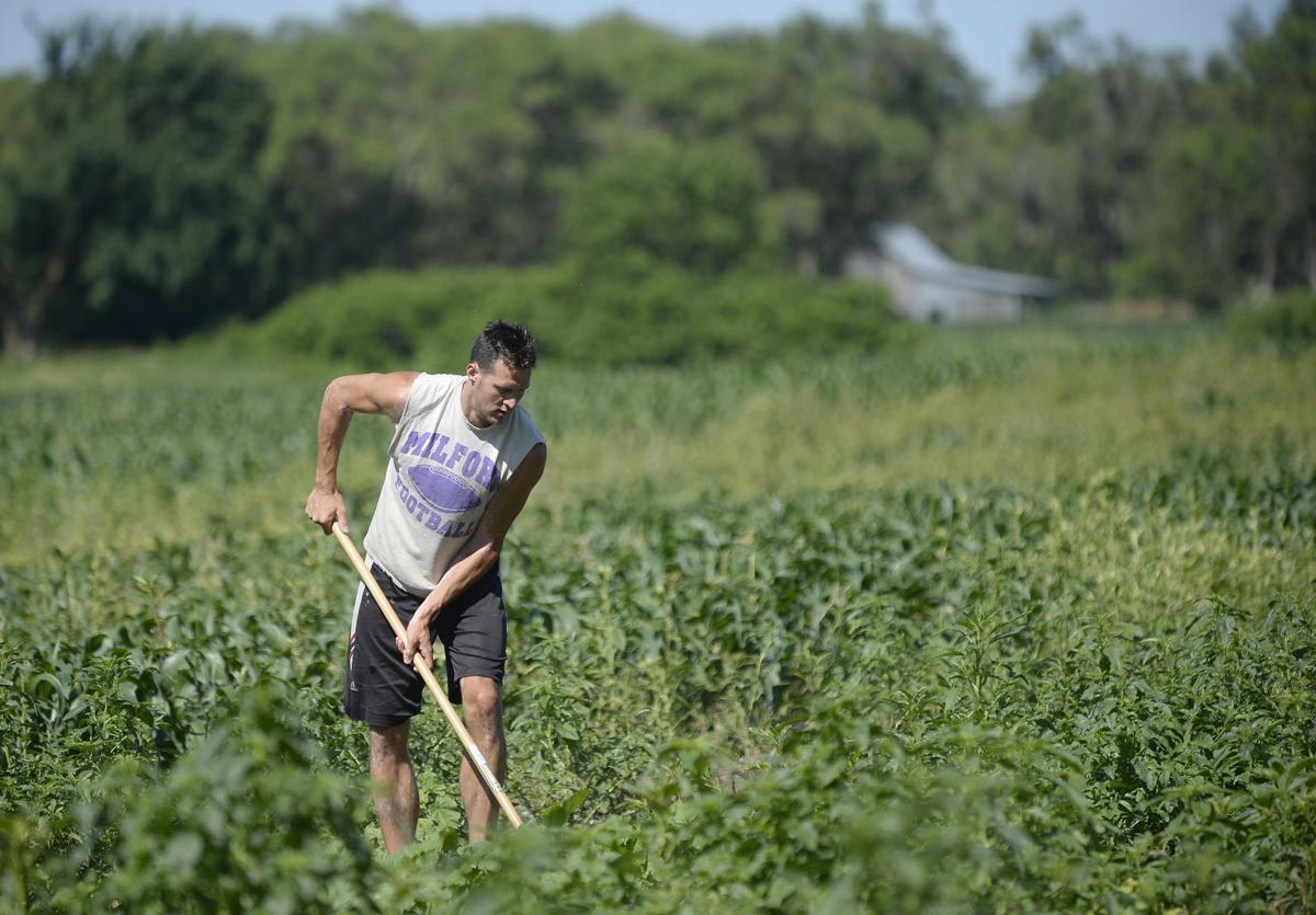 Nebraska Farmer (formerly Working Hands) — Lomah Acres