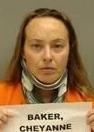 Lincoln woman charged with motor vehicle homicide had BAC of .215
