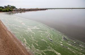 Alert issued at southeast Nebraska lake for toxic algae
