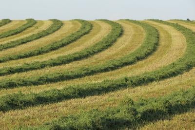 Water’s worth: It sits beneath Nebraska’s farmland and has serious value. But who owns it?