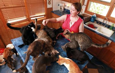 Woman hopes to run cat cafe in Grand Island