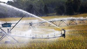 UNL study confirms irrigation's impact on humidity, yields possible link to rain