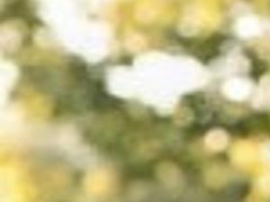 Al And Marilyn Borchardt Celebrate 50th Anniversary Anniversaries Journalstar Com 294 likes · 4 talking about this. al and marilyn borchardt celebrate 50th