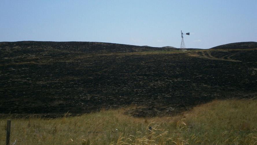 Nebraska Extension, UNMC partner to offer mental health support after wildfires