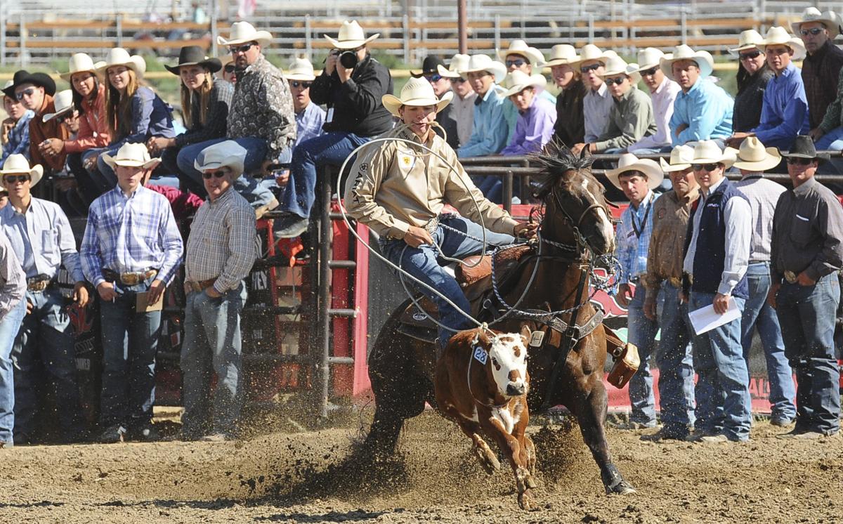 Rodeo finals