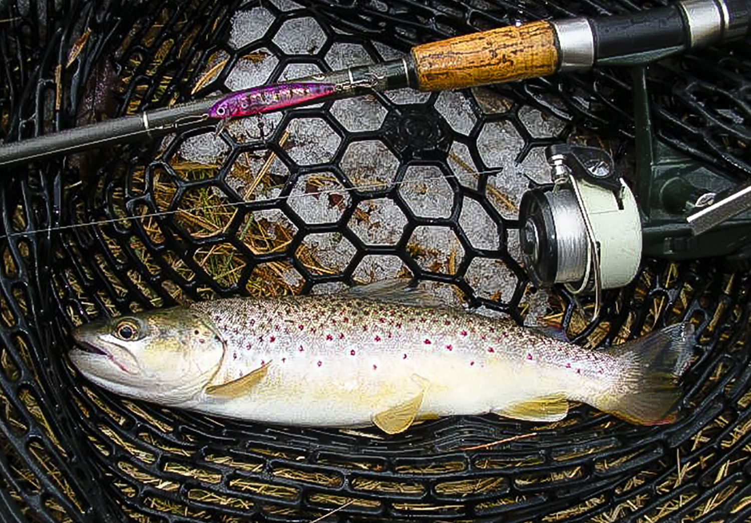 Рыбалка на форель. Домик рыбалка форель. Winter Trout Fishing. Trout Ice. Рыбалка на форель ночью.