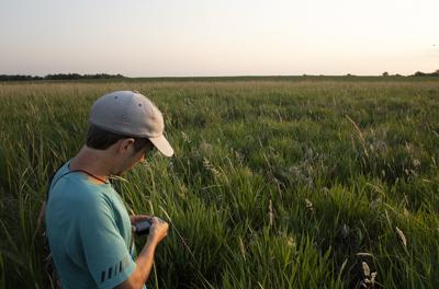 Researchers seeking clues in nature to track Mead ethanol plant's trauma