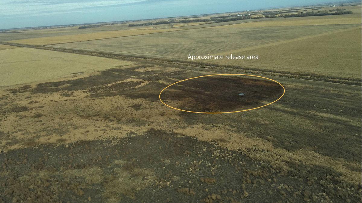 Keystone pipeline leaks 210K gallons of oil in South Dakota Nebraska
