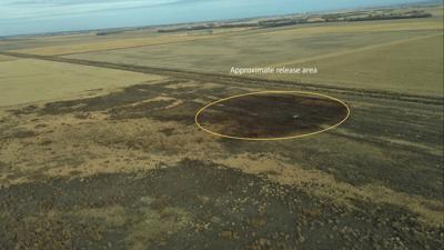 Keystone spill
