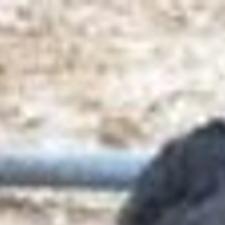 Calf Born With Six Legs Other Oddities Regional Government Journalstar Com