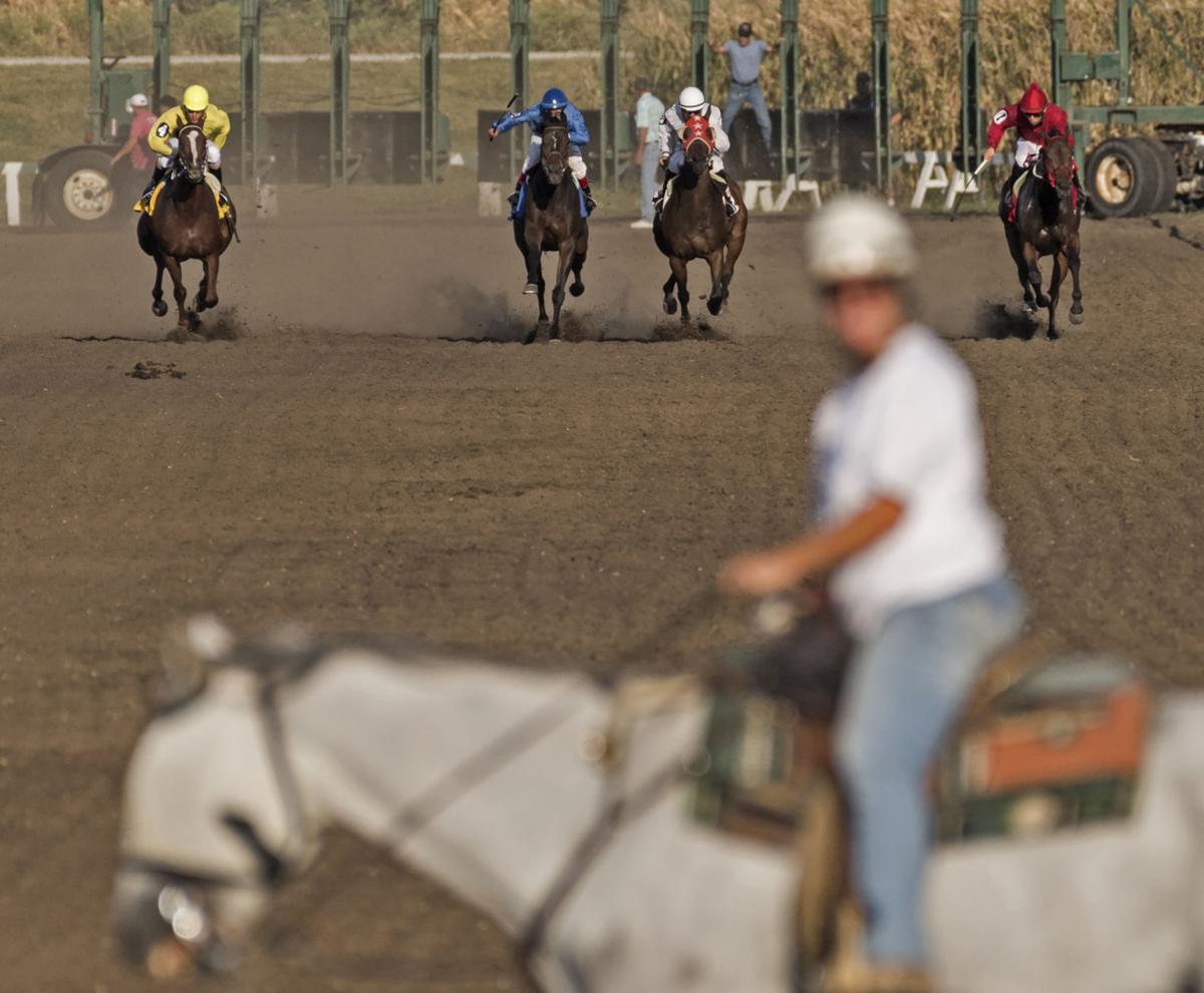 Expanded horse racing in Lincoln this year won't happen💵 Descubra o mundo das apostas online com