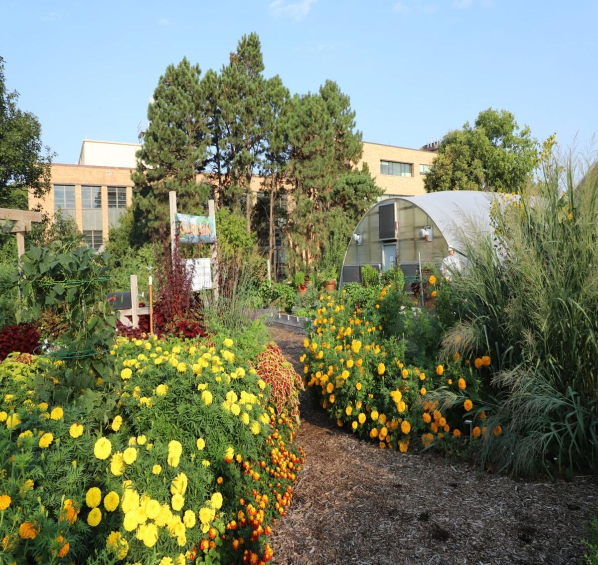 Backyard Farmers Garden on UNL East Campus