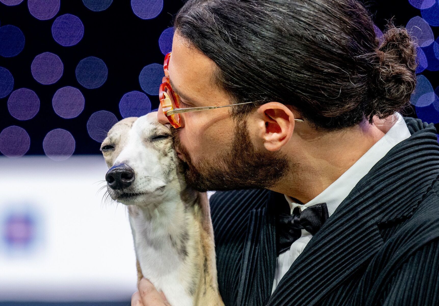 Whippet wins Best in Show at Crufts dog show