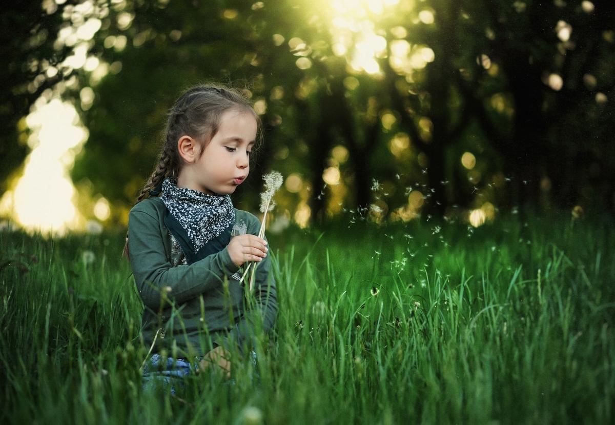 Grass