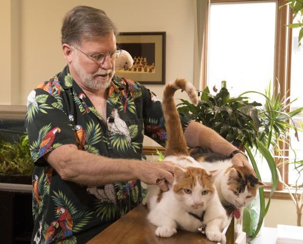 Haist with two cats