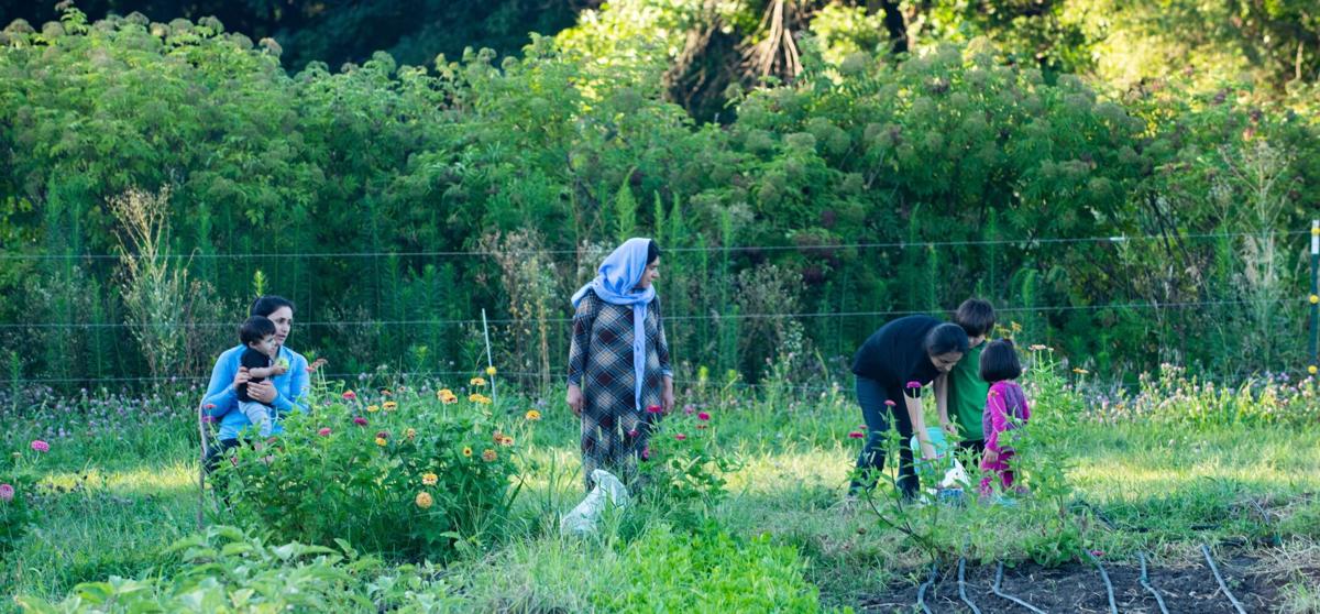 A Sanctuary for Growing Connections
