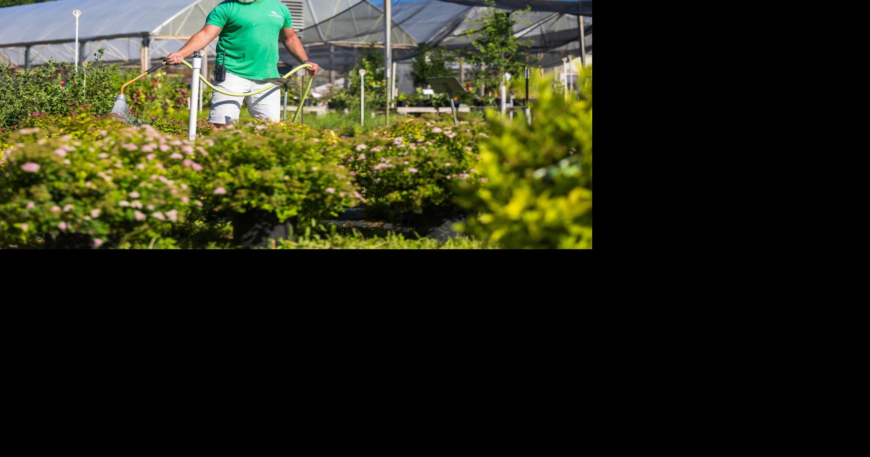 Campbell’s Nurseries going out of business next July after 115 years