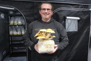 New Scottsbluff business creates an urban mushroom farm