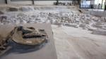 Nebraska's Ashfall Fossil Beds is a 'one-of-a-kind place'