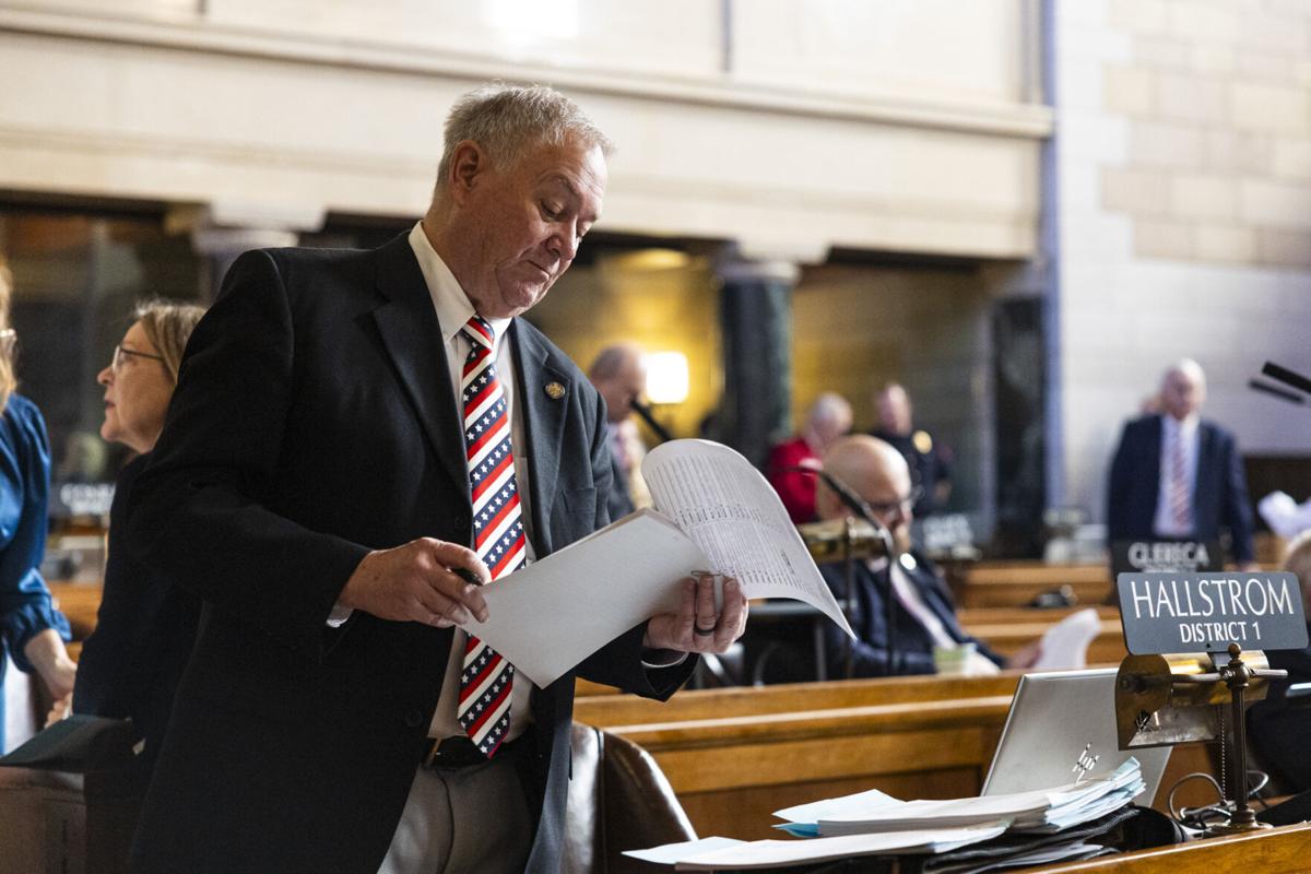 Legislature Opening Day (copy)