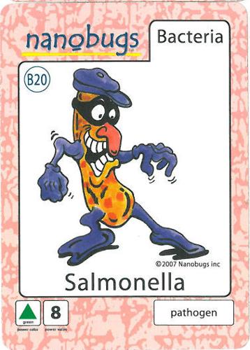 How To Prevent Salmonella