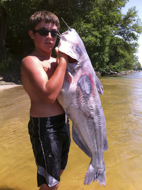 Angler lands 'gigantic' flathead catfish, shatters 16-year-old record