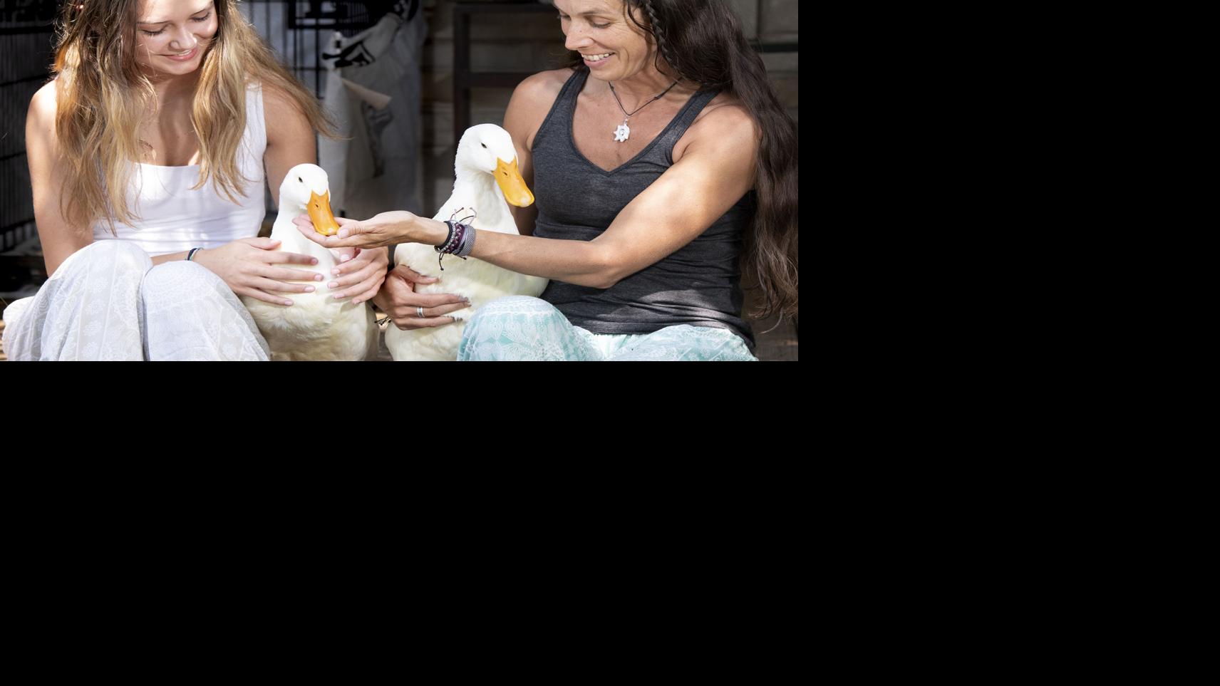 Meet Puddles And Waddles The Feathery Fledgling Instagram Stars Of Mohawk Street In Lincoln Local Journalstar Com