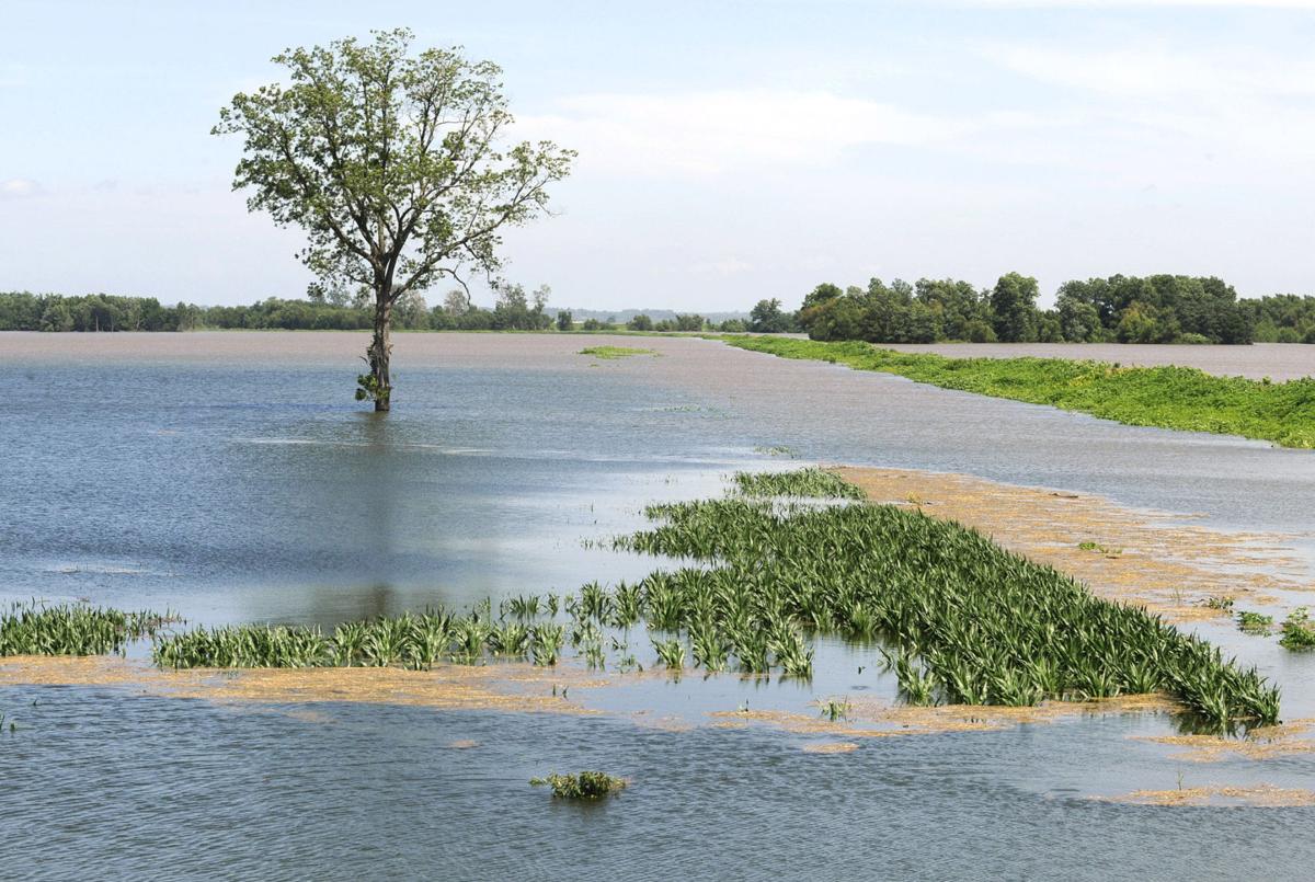 FLOODING