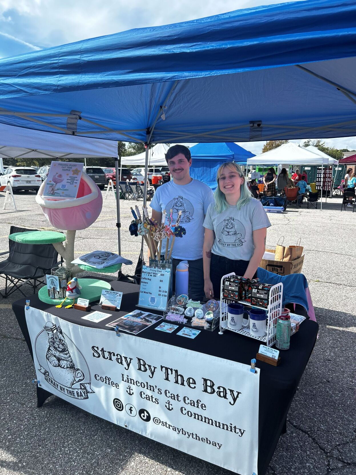 Stray By The Bay