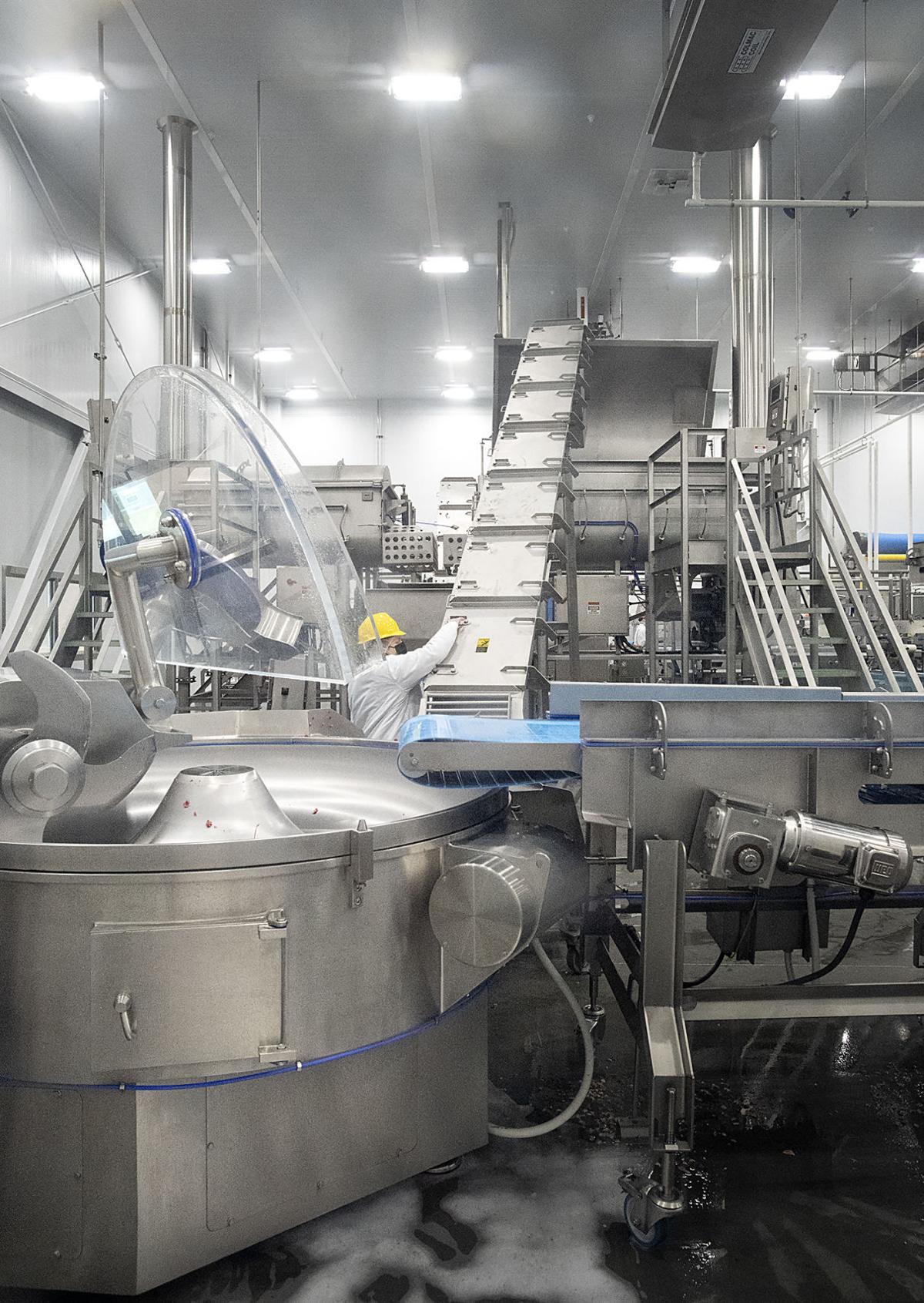 Progress Certified Piedmontese