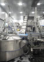 Progress Certified Piedmontese