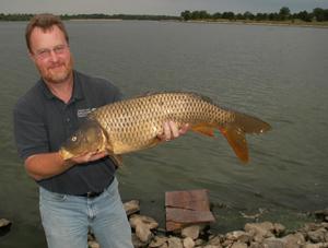 State hopes to reel in more carp fishermen