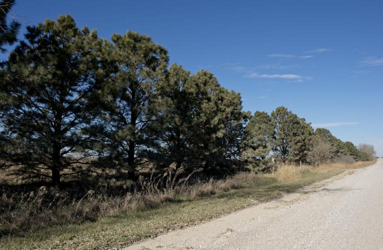 Rural road