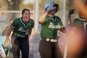 Lincoln is sending 3 teams to the state softball tournament. Here's how they made it