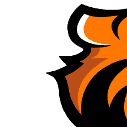 Powell Abruptly Resigns As Doane Women S Hoops Coach College